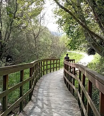 San Martin * モンダリス