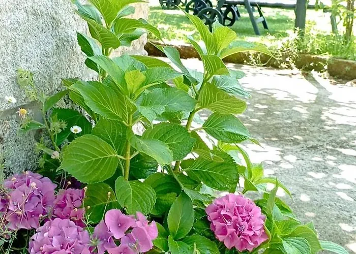 San Martin Tatil Evi Mondariz